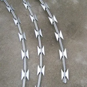 Hot Selling BTO-22 Type Galvanized Razor Wire Fence Garden Anti-Concertina Barbed Wire at an Attractive Price thumbnail-2