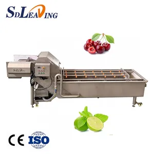 Air Bubble Washing Machine Used for Vegetable Fruit Cleaning Chicken Washing Cleaning Machine Frozen Food Machine thumbnail-3