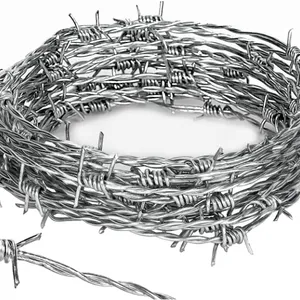 304 Stainless Steel Galvanized Barbed Wire (BTO-22, CBT-65) Razor Barbed Wire thumbnail-1
