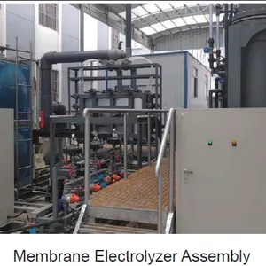 High Concentration Electrolytic NaClO Generator for Food Processing Sanitization thumbnail-3