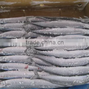 Seafrozen Pacific Saury wr thumbnail-2