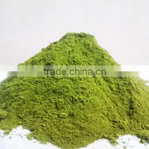 100% Original Moringa Leaf Powder For Bulk Sales thumbnail-4