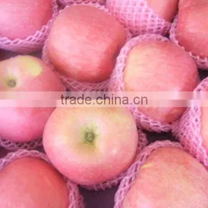 Best Price of Fuji Apple thumbnail-1