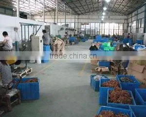 Shanghai Hamaka International Trade Co., Ltd. company overview - view 3 thumbnail