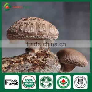 Spawn Logs of Shiitake Mushroom,Mushroom Logs for Sale,Shiitake Mushroom Logs thumbnail-1