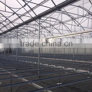 Greenhouse Multifunction 2,5 to 3 Meters Gutter Height thumbnail-3