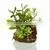 China Factory Direct Artificial Bonsai Succulents Plant Potted Palnt for Table Decortaion Home Decoration thumbnail-4