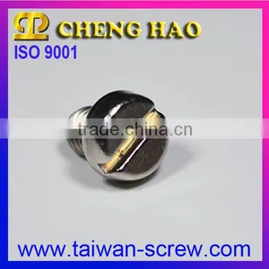 Excellent Quality Stainless Steel Rust Proof Screws thumbnail-1