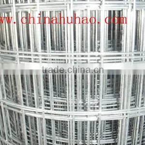 Welded Wire Mesh ( Electro or Hot Dipped Galvanized ) thumbnail-1