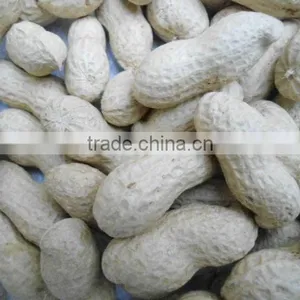 Junan Peanuts Price thumbnail-3