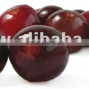 Camu Camu (powder, Pulp, Capsules) thumbnail-1
