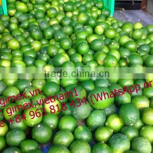 Fresh Lemon High Quality Seedless Gimex 2015 thumbnail-2