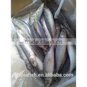 Good Quality Mackerel Fish Frozen thumbnail-5
