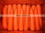 Chinese Fresh Carrot 9kg Carton thumbnail-1