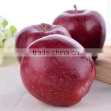 China Fresh Fruit Price for Export Fresh Huaniu Apple thumbnail-1