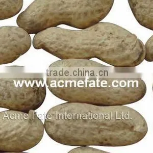 Chinese Peanut Kernels With Shell thumbnail-1