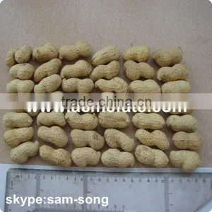 Chinese Peanut in Shell thumbnail-1
