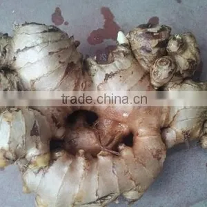 Fresh Ginger 100g-150g-200g-250g thumbnail-1