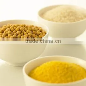 Concentrate Soy Protein 65% thumbnail-1
