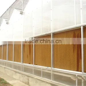 Foshan Manufacturer Cherry Tree Greenhouse Evaporative Cooling Pad thumbnail-6