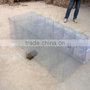 Wire Breeding Mink Cages thumbnail-1