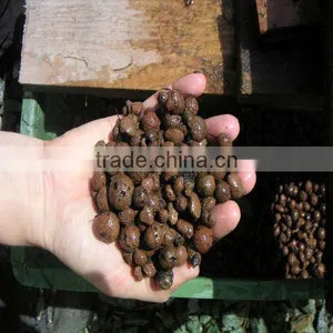 Light Expanded Clay Aggregate thumbnail-1