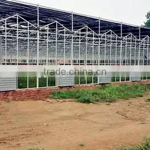 Commercial Greenhouse thumbnail-2
