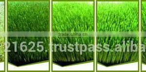 StarMax Green Fodder Machine / Cattle Fodder Machine / Automatic Barley Fodder Machine thumbnail-1
