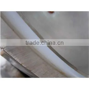 Pulsating Vacuum Sterilizer LX-BV Autoclave Vertical -Bluestone Autoclave thumbnail-5