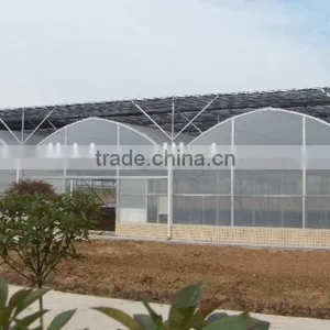 BLD Large Multi-span Plastic Film Green House and Commercial Green House for Plant Growth thumbnail-5