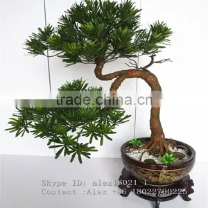 Wholesale Artificial Home Bonsai Tree for Sale Live Cypress Tree thumbnail-2
