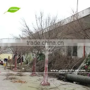 GNW WTR1102-2 Wood Branches Dry Tree for Indoor Use Garden Decoration thumbnail-3
