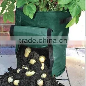 Eco Friendly Plastic Flower Pot thumbnail-1