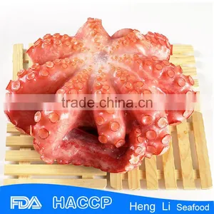 HL089 Healthy Fresh Octopus Wholesale thumbnail-2