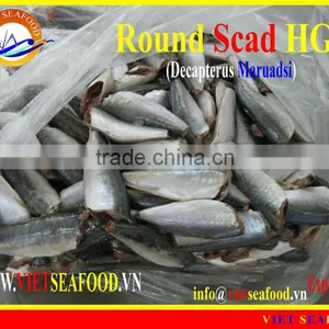 FROZEN HGT ROUND SCAD thumbnail-1