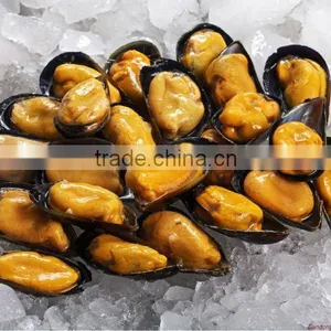 Seafood Frozen Mussel Meat in Half Shell thumbnail-1