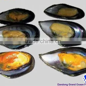 Chair de Moules Avec Demi Coque thumbnail-1