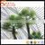 Wholesale Outdoor&Indoor Artificial Palm Trees Artificial Palm Tree Leaves and Plastic Palm Tree thumbnail-2