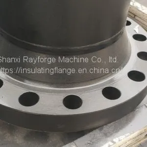 Forging Flange thumbnail-1