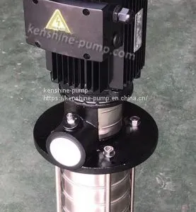 CDLK,CDLKF Stainless Steel Submerged Multistage Centrifugal Pump thumbnail-1
