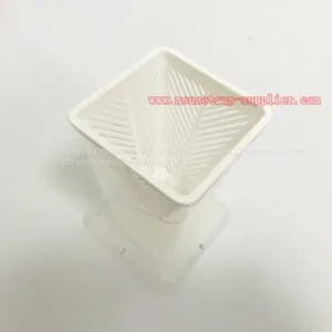 Reusable Plastic Fruit Fly Live Catch Trap Insects Bug Catcher thumbnail-4