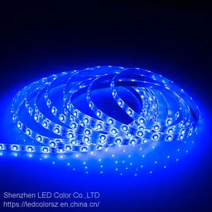 Hot Selling 3528 Blue Flex Decoration Led Strip 60leds Led Strip thumbnail-4