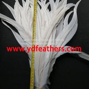 Bleached Black Rooster/Coque/Cocktail Feather 16 thumbnail-1