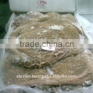 Frozen Buffalo Honey Comb thumbnail-1