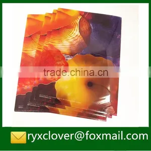 Factory Derictly Wholesale L Shape a4 Size File Folder pp Stationery thumbnail-5