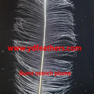 Changshu Bixi Electrostatic Coating Equipment Factory company overview - view 3 thumbnail