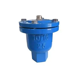 Ductile Iron Threaded Ends Single Orifice Air Vent Release Valve thumbnail-1