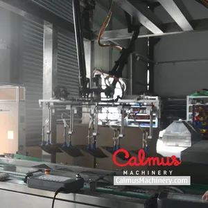 Snack Bags Case Packer Machine and Packaging Line thumbnail-2