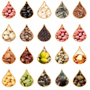 Hydraulic Oil Pressing Machines Cold Press Coconut Olive Sunflower Seed Chia Seed Sesame Flax Soybeans Castor Oil Press Machine thumbnail-2