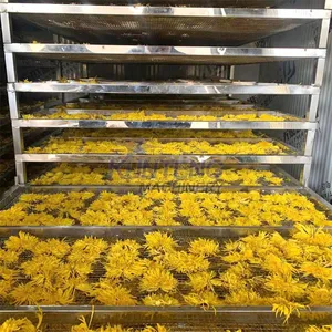 Heat Pump Air Dryer Seafood Herbal Tea Sweet Potato Drying Machine Pap Honey Bee Pollen Dryer Machine EPC thumbnail-3